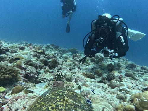Benjaal Scuba