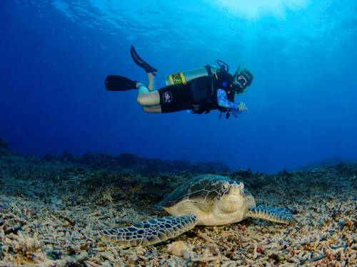 Gili Air Divers - Freedive Gili Air