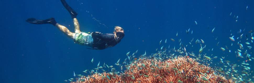Ocean Ventures Fiji
