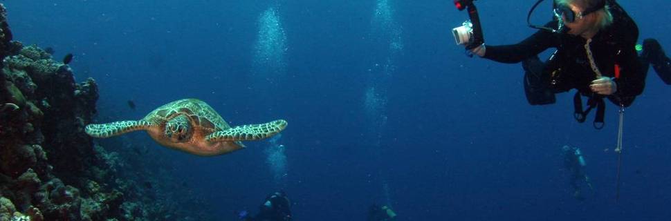 Manado Dive Club