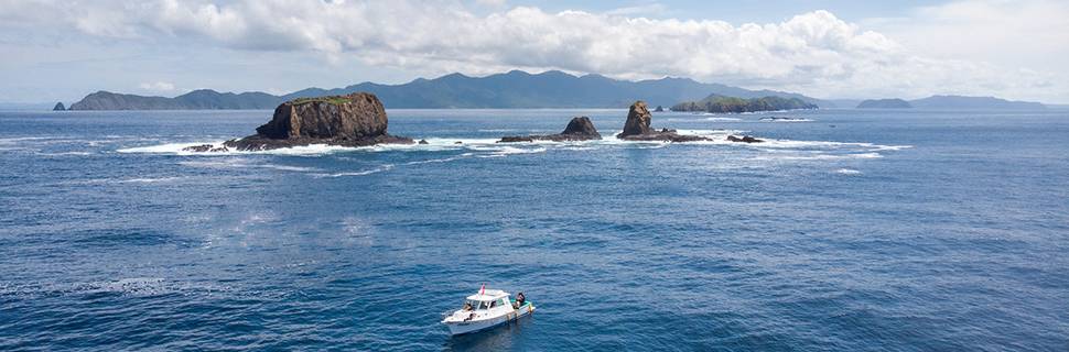 Rich Coast Diving