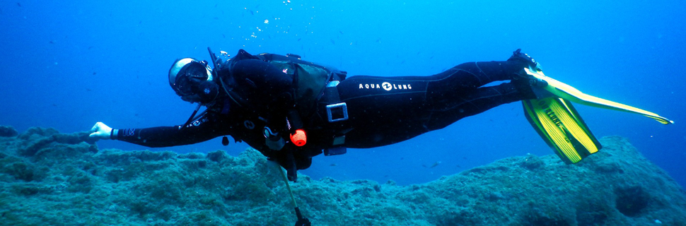 Guru Dive Dalış Eğitim Merkezi