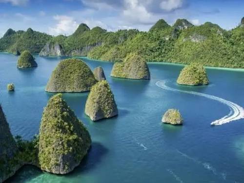 Dragonet Divers Raja Ampat