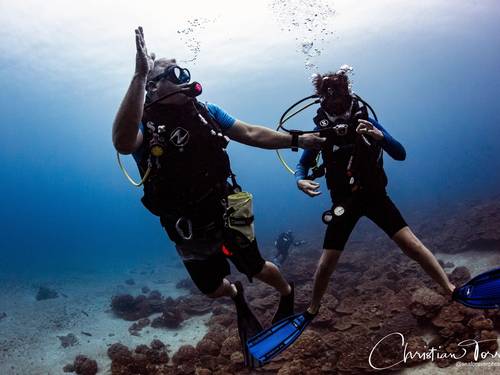 Drake Bay Diving