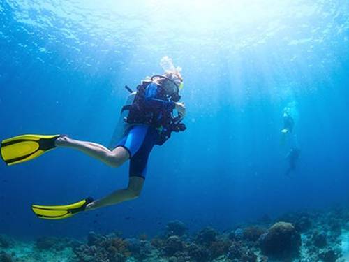 Dive Zone Tauranga