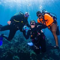 Scuba Charlotte