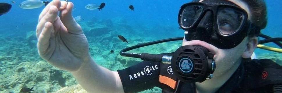Sirens Dive Centre