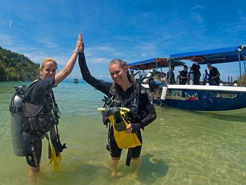 Downbelow Marine & Wildlife Adventures