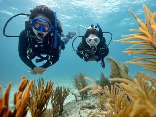 Lanzarote Non Stop Divers