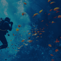 Blue Lagoon Diving Center Sharm el Sheikh