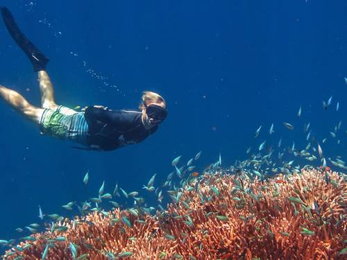 Ocean Ventures Fiji