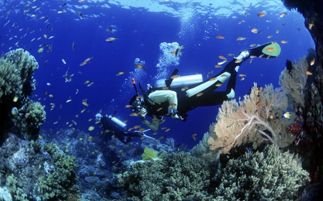 Everything you need to know about Diving in Thailand