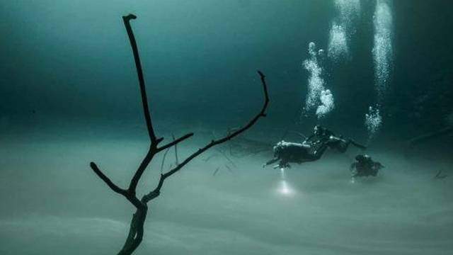 Playa del Carmen Diving Scuba Playa