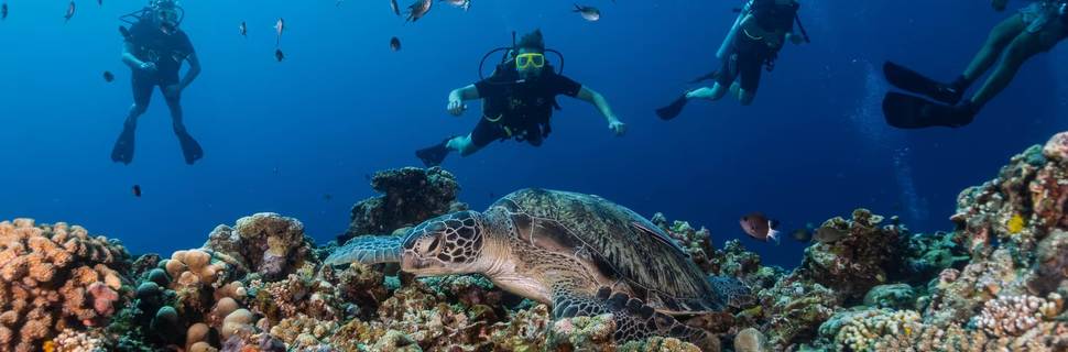 Gili Divers - Gili Trawangan