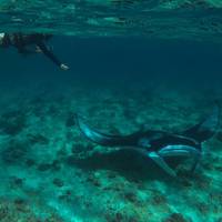 MSTS Scuba Fun