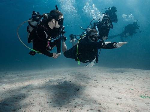 Underwater Vision
