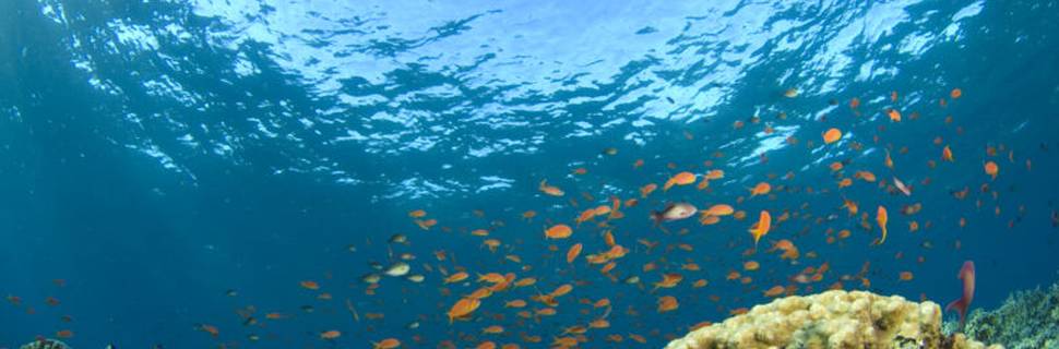 Nautilus Scuba Diving Centre