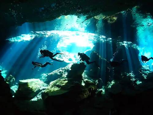 Pasku Dive Playa del Carmen, Mexico - Buceo en Playa del Carmen, Mexico