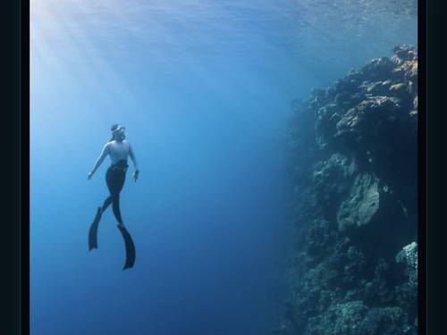 Dive Aqaba