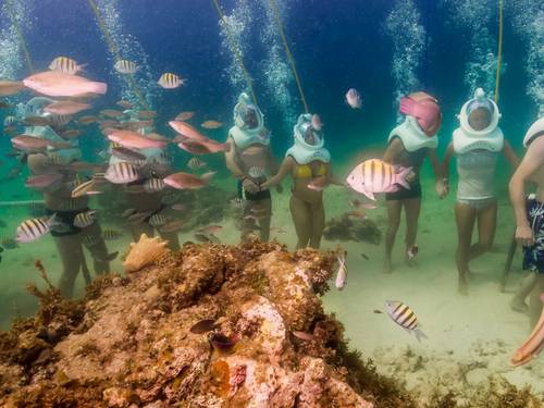 Seaquarium Punta Cana