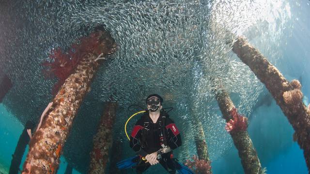 Aqaba Adventure Divers Resort & Dive Center