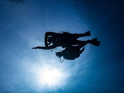 Dive D Compass