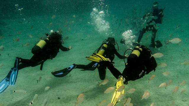Safari Diving Lanzarote