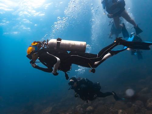 Sealion Dive Center