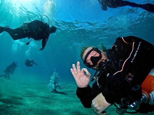Dolphin Diving Center