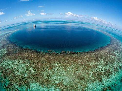 Belize Diving Adventures