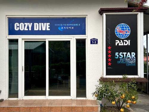 Cozy Dive