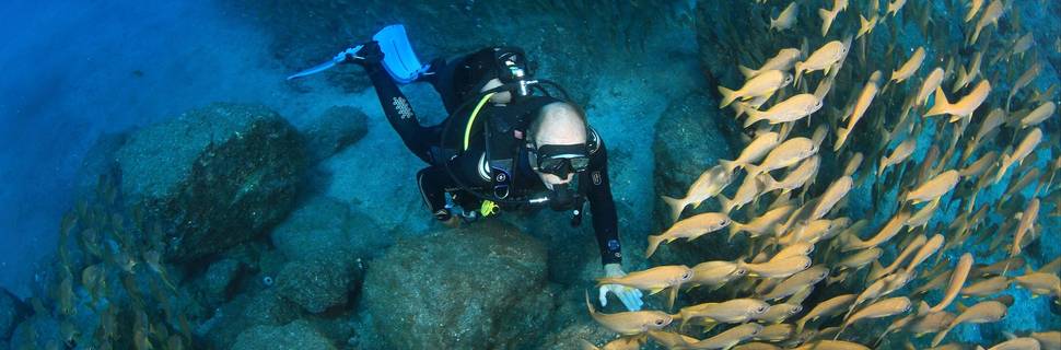 ONE TWO DIVE