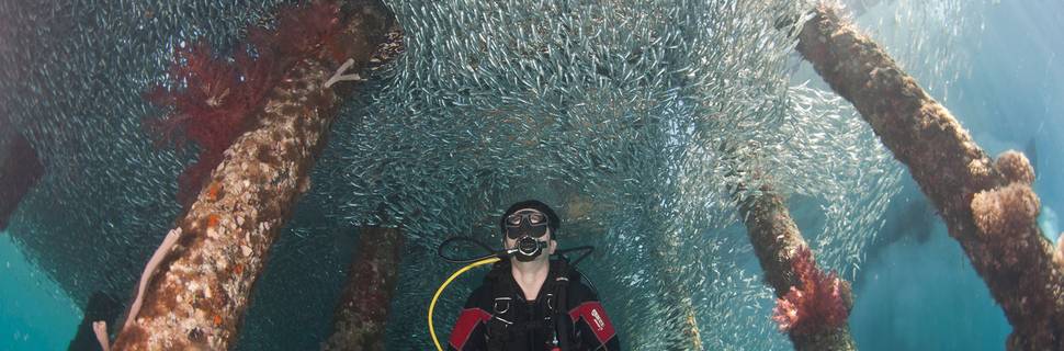 Aqaba Adventure Divers Resort & Dive Center