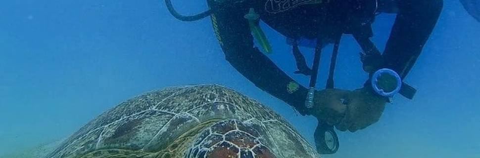 Blue Sea Diving Center