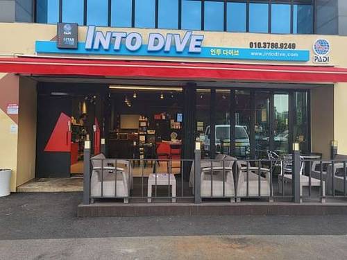 Into Dive