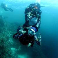 Panda Scuba