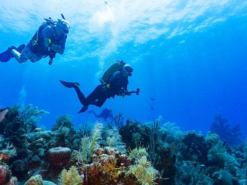 Divers West