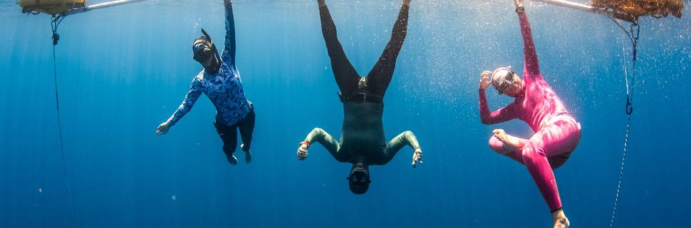Freediving Explorations