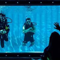 Divers Down Dubai