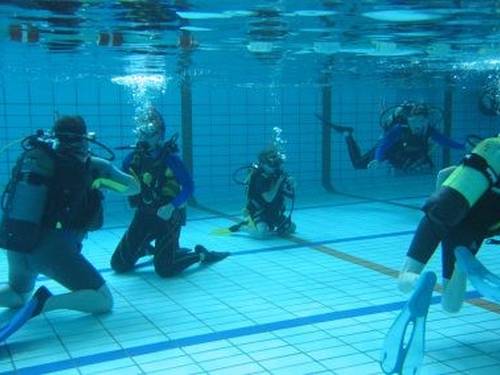 Les Requins Marteaux