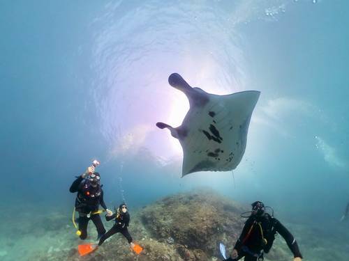 Lembongan Dive Center