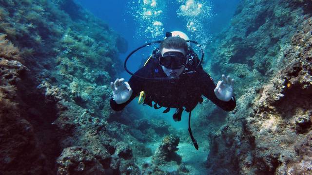 Bikini Dive
