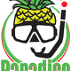 Paradise Scuba