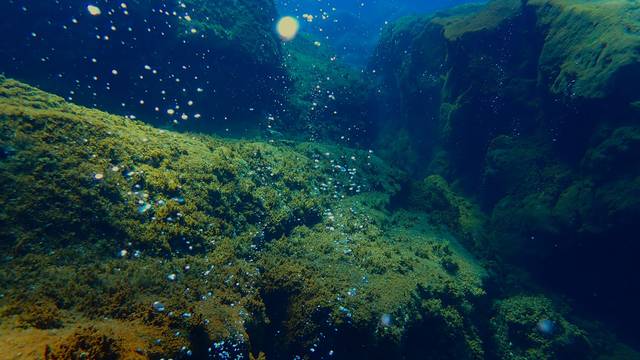 Volcano Bubbles Diving School