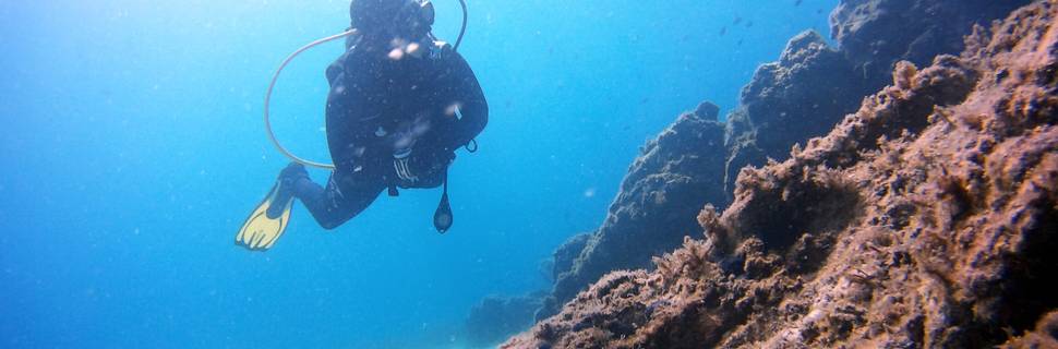 "Blue" Diving Center