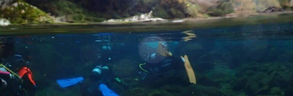Super Scuba Fiz