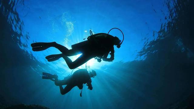 Fort Young Dive