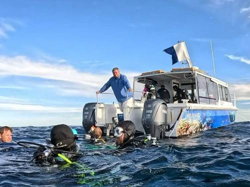 Brisbane Scuba