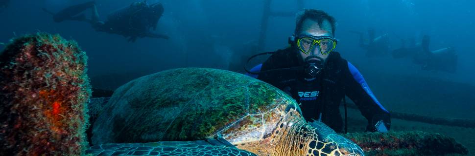 Carey Dive Center