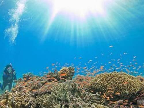 DIVE STATION YUIMARE